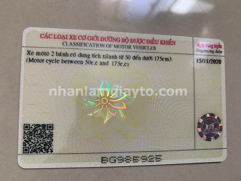 làm bằng lái xe giả không cọc