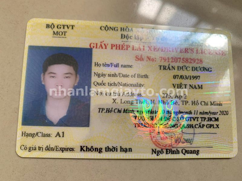 làm bằng lái xe giả không cọc
